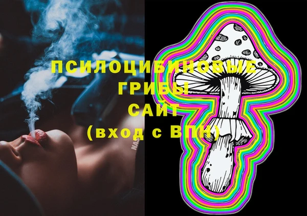 ПСИЛОЦИБИНОВЫЕ ГРИБЫ Карпинск