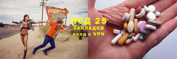 ПСИЛОЦИБИНОВЫЕ ГРИБЫ Карпинск