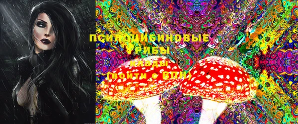ПСИЛОЦИБИНОВЫЕ ГРИБЫ Карпинск