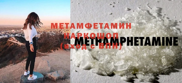 гидра Инсар