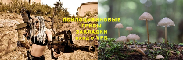 ПСИЛОЦИБИНОВЫЕ ГРИБЫ Карпинск