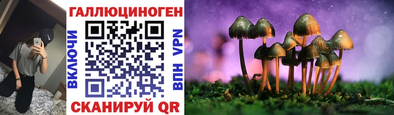 Купить где Называевск Псилоцибиновые грибы мухоморы